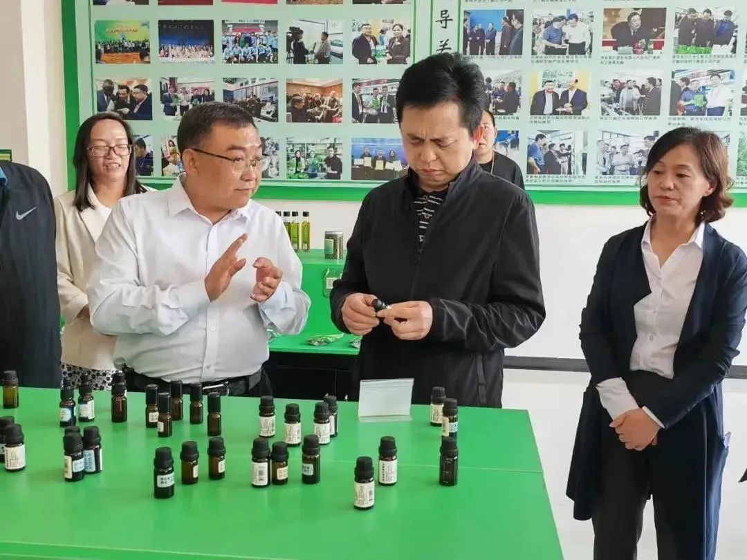 发挥桥梁纽带作用 推动民营企业高质量发展